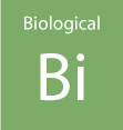 Pi Environmental Marine Scientific Support - Biological